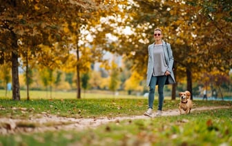 Холодов в октябре не ждать? Синоптики рассказали, когда закончится «положительная аномалия» в Беларуси