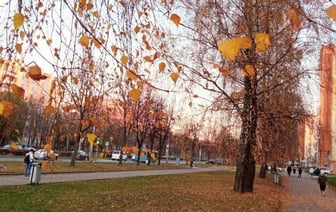 Белгидромет рассказал о погоде на больших выходных