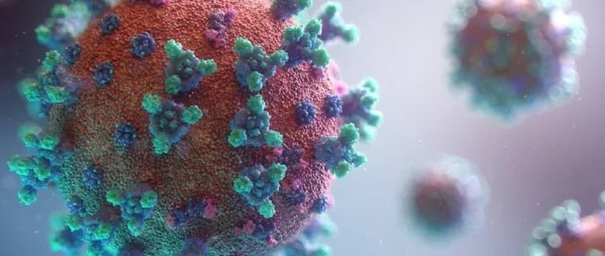 От флирта к случайности: что нужно знать о последних вариантах Covid