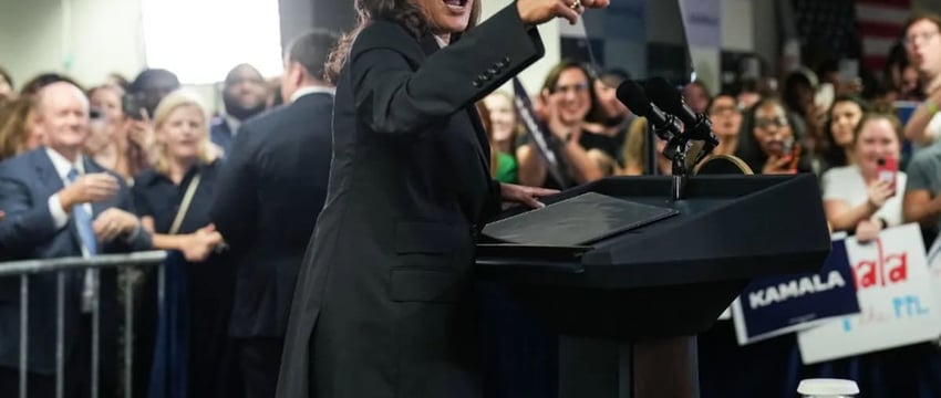 40 000 человек откликнулись на призыв Zoom: как было собрано 1,5 миллиона долларов для Камалы Харрис