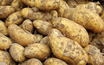 Можно ли есть картошку, если хочешь похудеть? Объясняет доктор