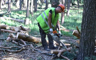 Ураган 14 июля в Гомеле в цифрах и суммах
