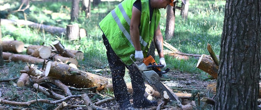 Ураган 14 июля в Гомеле в цифрах и суммах