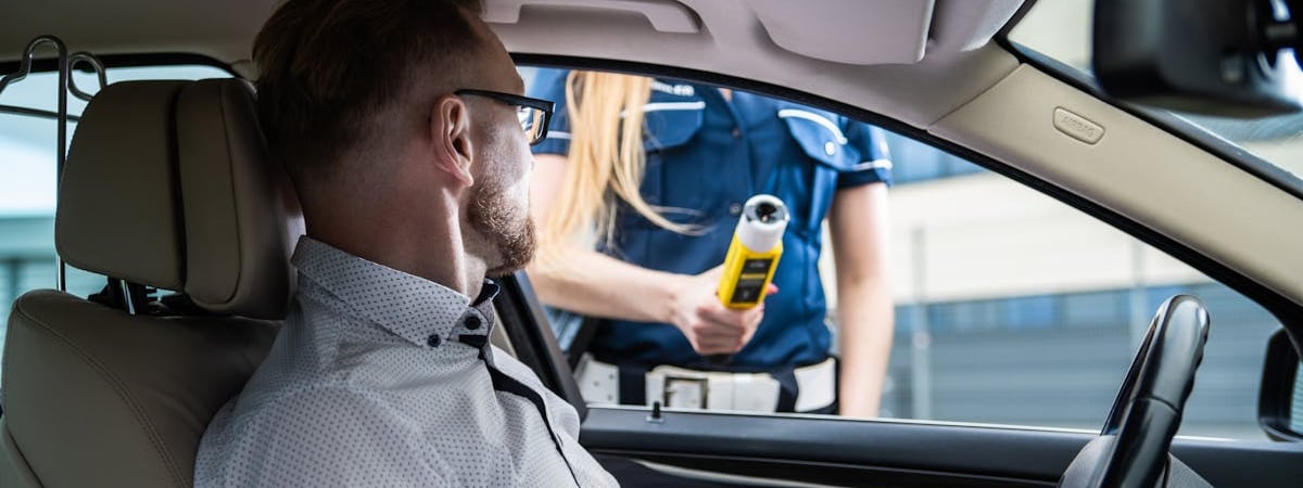 В Минтрансе Беларуси рассказали о наведении порядка вдоль дорог в 2025 году