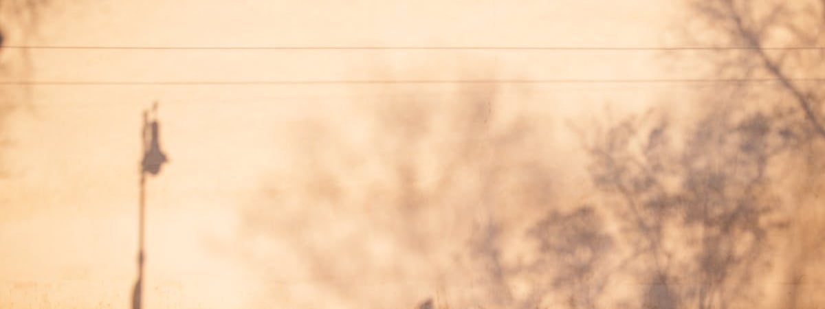 Как избавить брусчатку от сорняков и зелёного налёта? С этими простыми лайфхаками вы забудете про прополку — Полезно