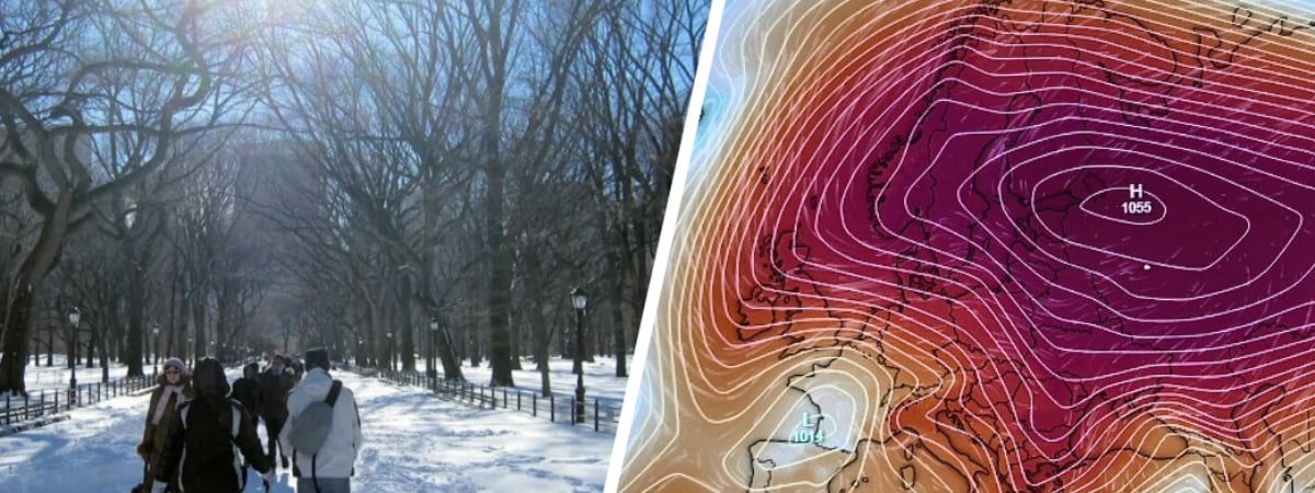 Синоптики пообещали белорусам неделю без снегопадов и «много солнца» от «бескрайней Эльвиры». Где ждать морозы до -14°С? — Фото