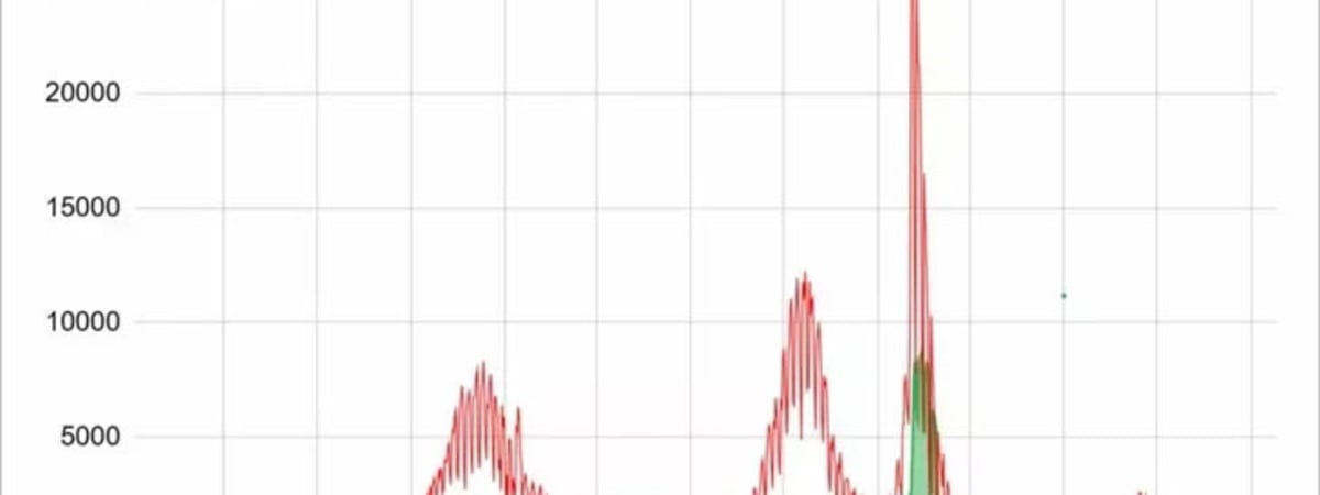 BELPOL: В Минске смертность от коронавируса занижали более чем в 4 раза