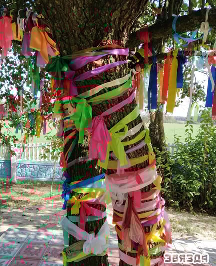 Жители Каменецкого района несут кресты к дереву, под которым, по легенде, деревенской девочке явилась Божья Матерь