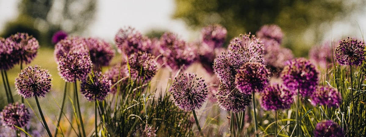 Три страны Балтии введут санкции против организаторов разгона протестов в Грузии