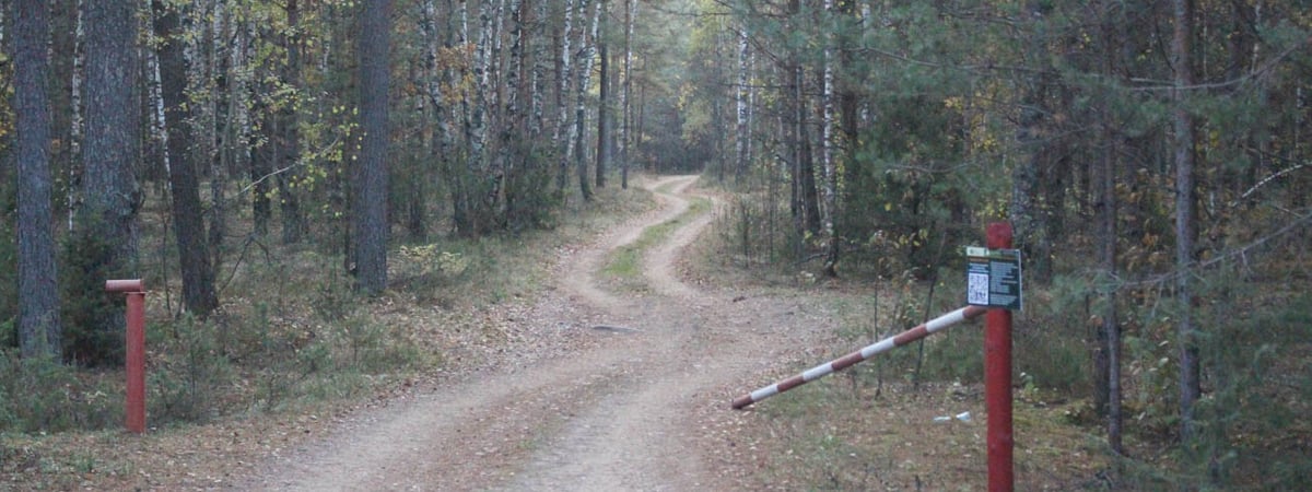 В Беларуси ограничили посещение лесов — какие районы Гродненской области в списке
