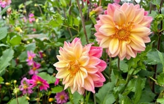 Какой будет погода в Беларуси с 9 по 15 сентября