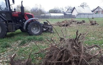А вы знали? В Гомеле есть сервис по уходу за приусадебным участком