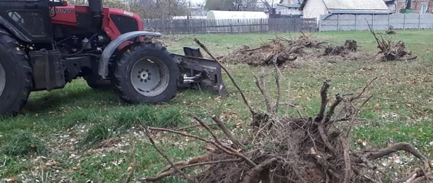 А вы знали? В Гомеле есть сервис по уходу за приусадебным участком