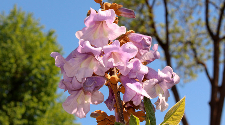 Фото из открытых источников (иллюстративное)