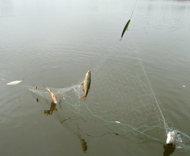 Фото из открытых источников (иллюстративное)