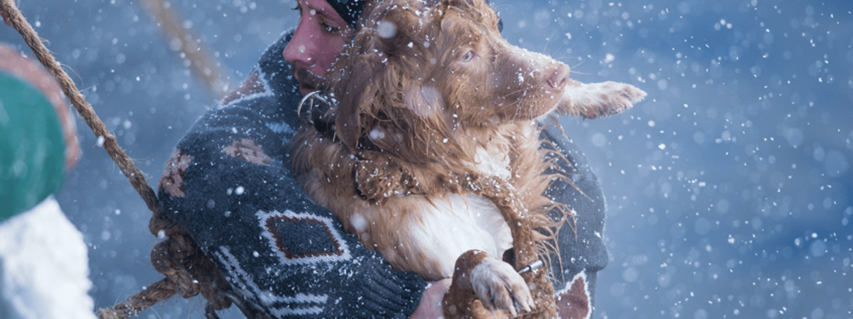 Погода как главный герой: пять фильмов про непредсказуемость стихий