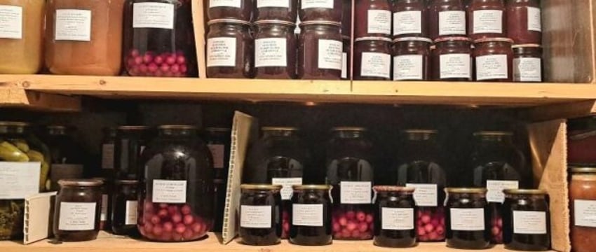 Сколько «тянет» свой огород и окупает ли расходы урожай? Сравнили и посчитали