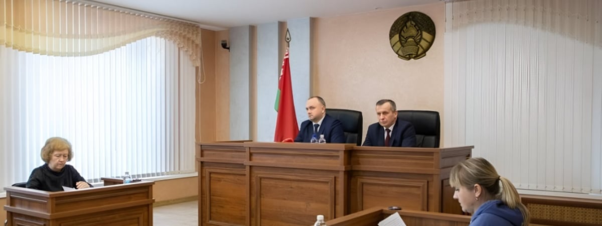 Депутаты одобрили пересмотр санкций почти по 100 статьям УК и КоАП Беларуси. Кого предложили не сажать в тюрьму?