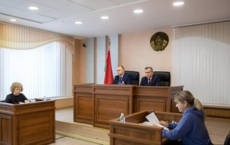 Депутаты одобрили пересмотр санкций почти по 100 статьям УК и КоАП Беларуси. Кого предложили не сажать в тюрьму?