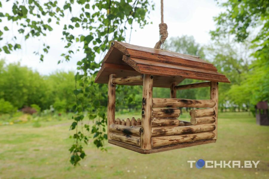 На рассаду потратил $11 тыс.: как парень из Бреста строит бизнес на цветах