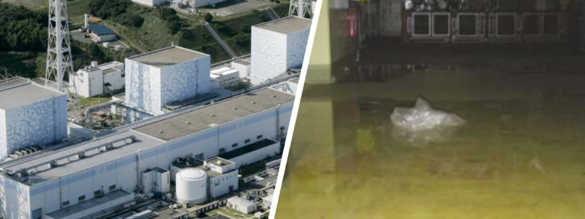 В Японии на АЭС «Фукусима-1» произошла утечка 25 тонн радиоактивной воды — Фото