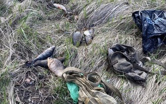 В Пинском районе два браконьера наловили в Припяти крупный штраф