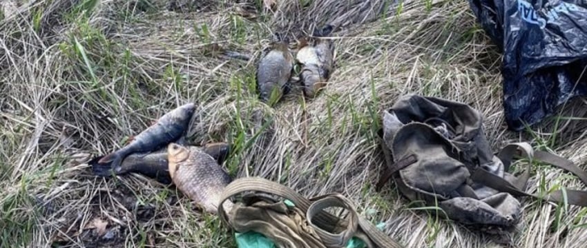 В Пинском районе два браконьера наловили в Припяти крупный штраф