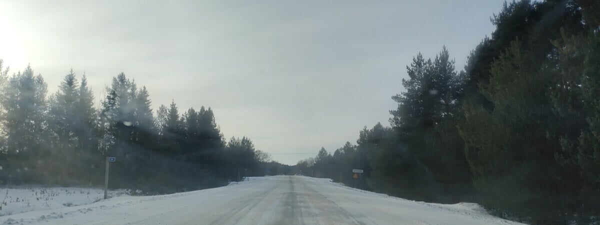 Белорусские лесники рапортовали о строительстве 100 км дорог в 2023 году. Где?