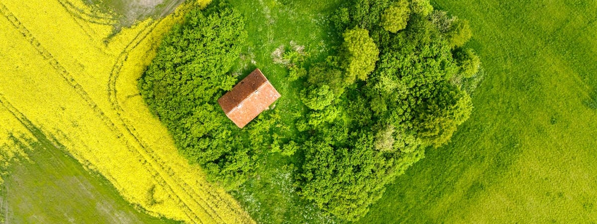 Польша продлит срок действия буферной зоны на границе с Беларусью