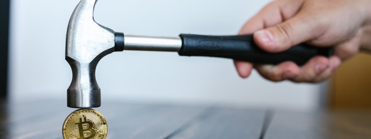 В ЕАЭС с 2 ноября начнет действовать новый порядок регистрации минеральных удобрений