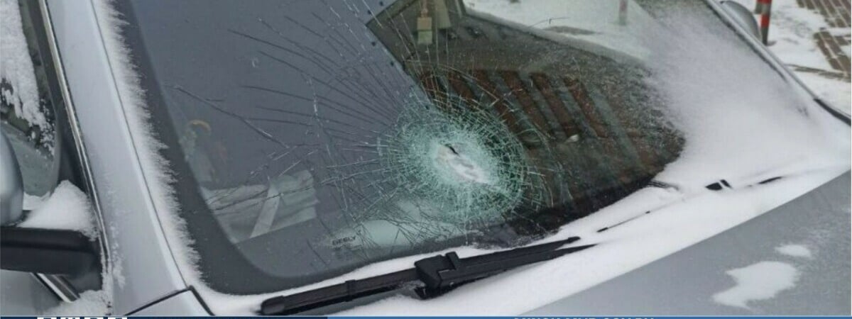 Минчанка не оценила подарок друга и попала в милицию