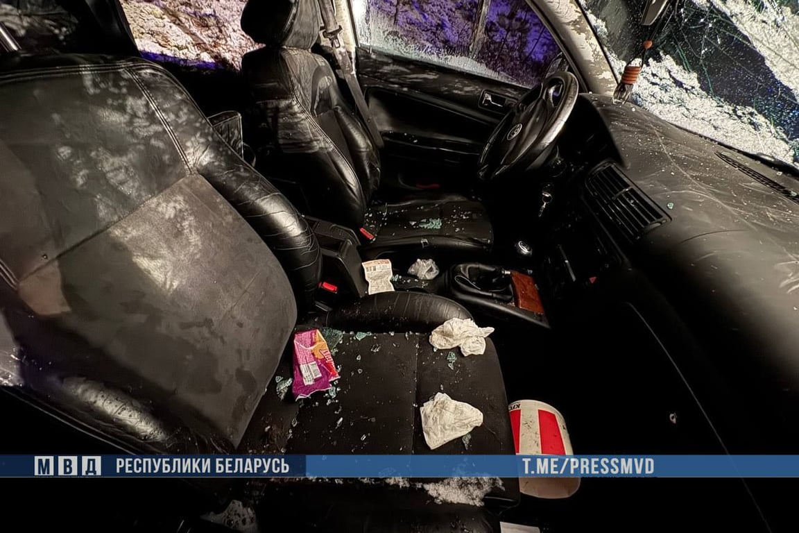 Маленькая девочка погибла в ДТП на автодороге М-8 «Витебск-Орша». Фото ГАИ