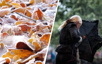 Когда в Беларуси ждать заморозки до -2°C? Синоптики предупредили о дождях и «сильном ветре»