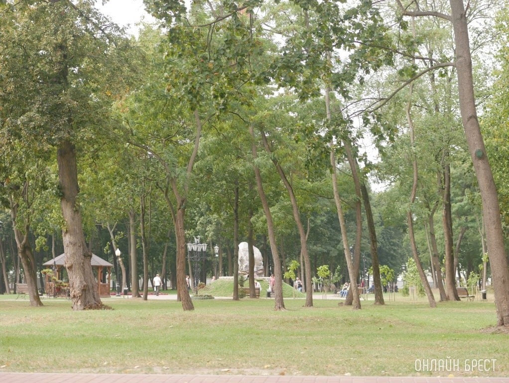 Фото носит иллюстративный характер