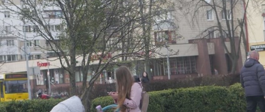 В Минтруда рассказали, куда обращаться за пособием по уходу за ребенком до 3 лет