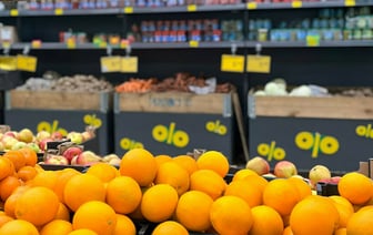 В Беларуси появились апельсины по 2,99 рубля за килограмм. Где купить? — Фото