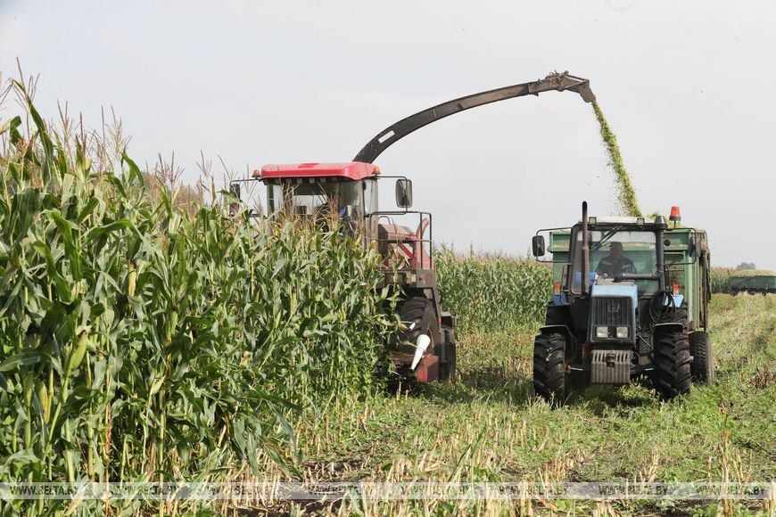 Старожилы Пинского района рассказали о жизни после объединения Беларуси