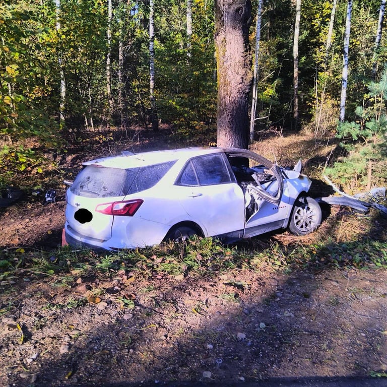 Страшная авария: машина столкнулась с деревом и загорелась. Водитель из Бреста погиб