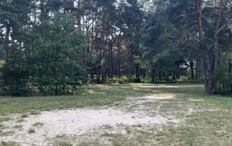 Обновленный Лесной кодекс вступил в силу. Что изменилось?