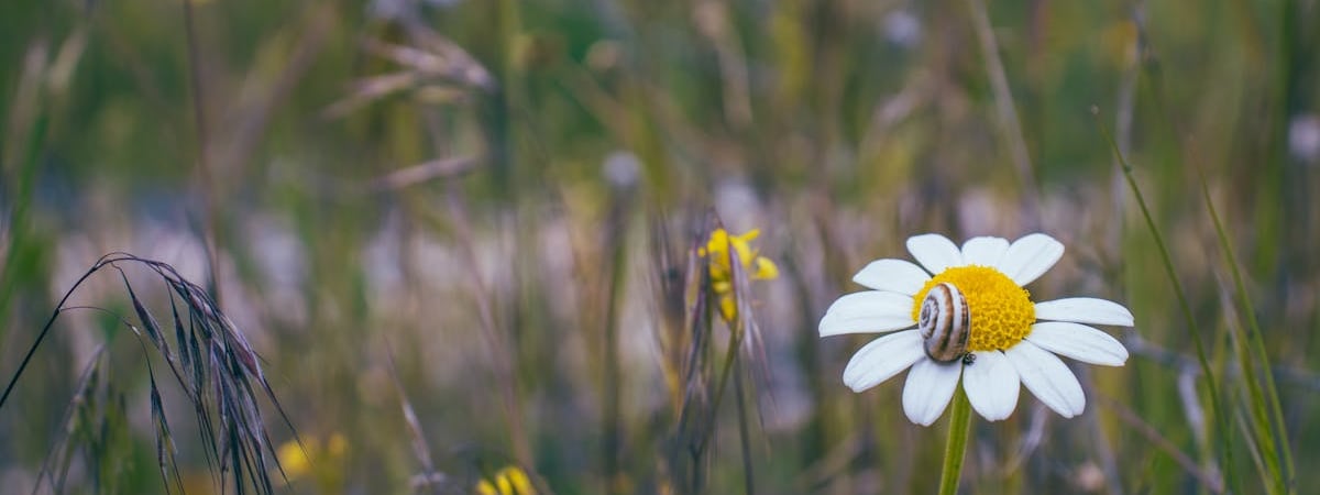 Из‑за российского обстрела Одессы погиб фельдшер и сотрудник службы спасения