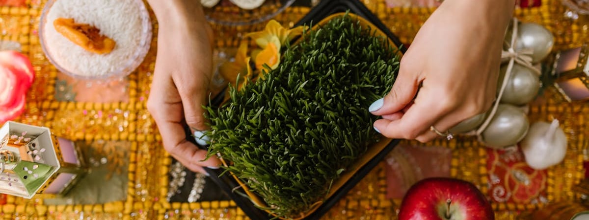 Завод по производству аммиака и карбамида стоимостью $1,35 млрд построят в Казахстане