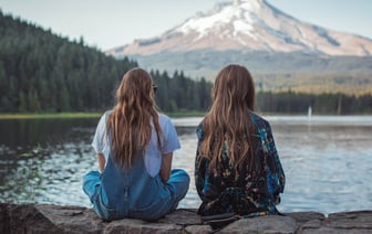 Стало известно, когда начнут работать елочные базары в Могилевской области