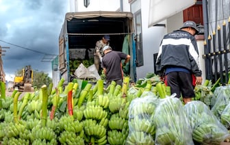 МАРТ запретил Wildberries продавать некоторые товары и потребовал по-другому возвращать деньги покупателям