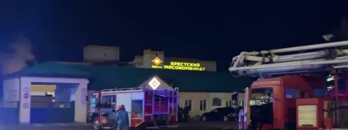 На Брестском мясокомбинате произошла утечка аммиака — Видео