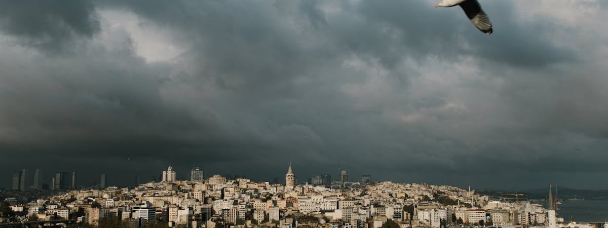 Таможенное декларирование органов, тканей и крови в ЕАЭС упростят