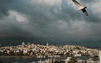 Таможенное декларирование органов, тканей и крови в ЕАЭС упростят