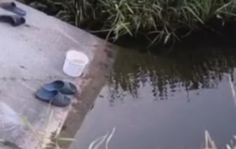 В Калинковичском районе утонули два мальчика. Подробности трагедии