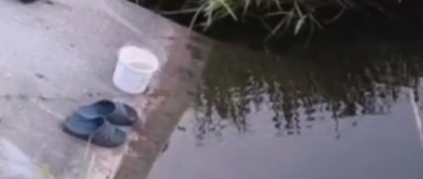 В Калинковичском районе утонули два мальчика. Подробности трагедии