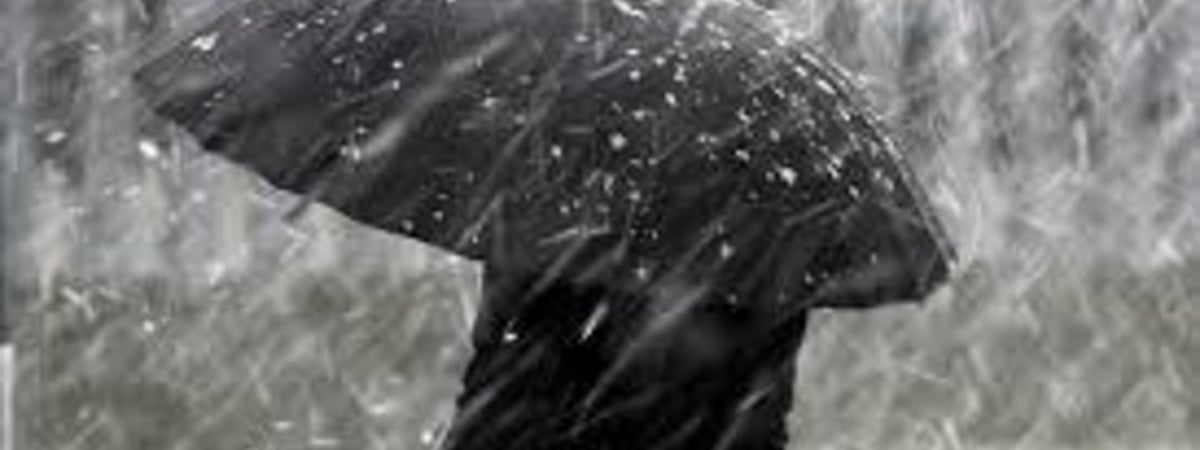 Дожди и мокрый снег. Прогноз на неделю с 16 по 22 декабря