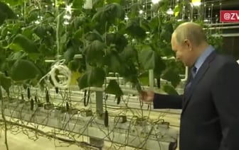 Путин впервые прилетел на Чукотку